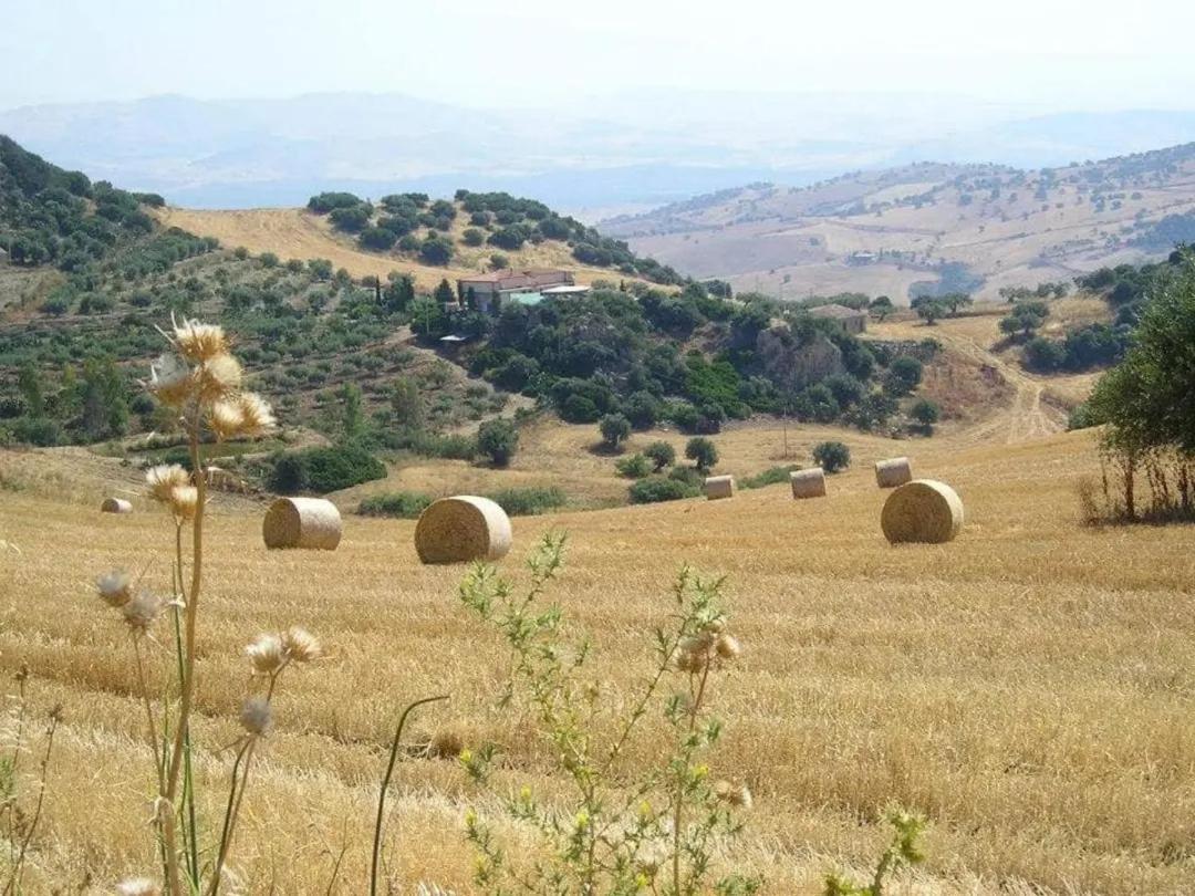"San Placido Green House" Villa Con Piscina Castel di Iudica Εξωτερικό φωτογραφία